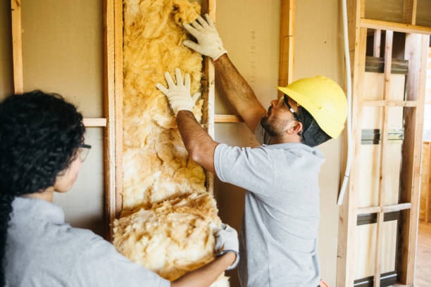 Soundproof Insulation Installation in Clara City, MN