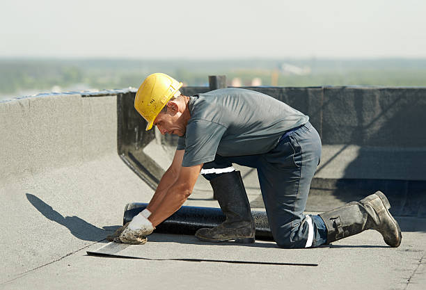 Best Attic Insulation Installation  in Clara City, MN